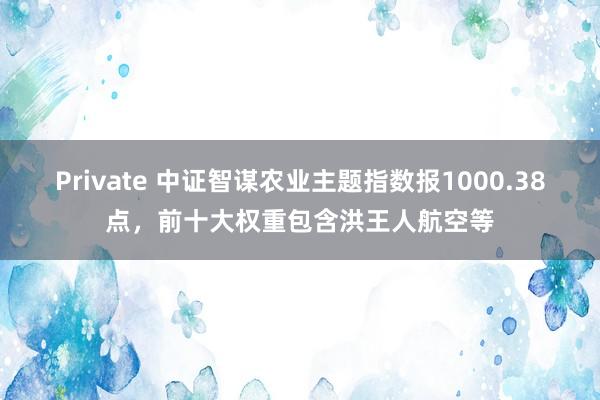Private 中证智谋农业主题指数报1000.38点，前十大权重包含洪王人航空等