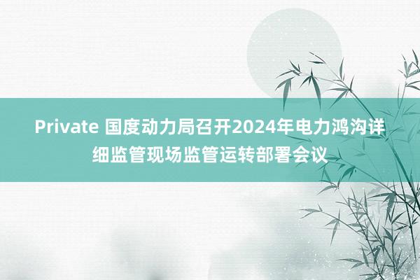 Private 国度动力局召开2024年电力鸿沟详细监管现场监管运转部署会议