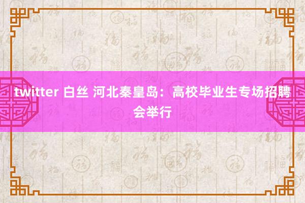 twitter 白丝 河北秦皇岛：高校毕业生专场招聘会举行