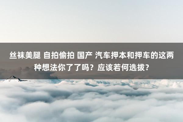 丝袜美腿 自拍偷拍 国产 汽车押本和押车的这两种想法你了了吗？应该若何选拔？