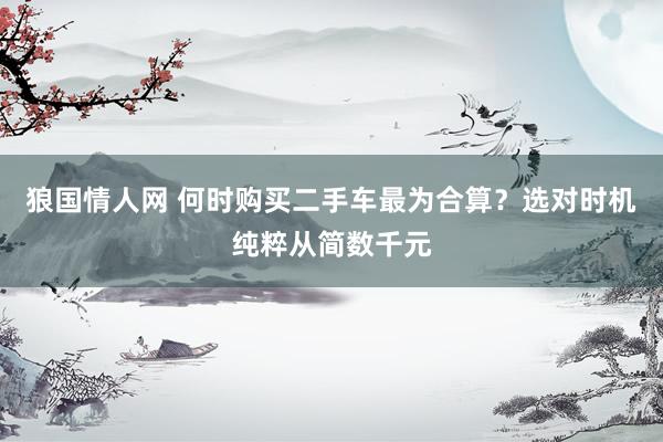 狼国情人网 何时购买二手车最为合算？选对时机纯粹从简数千元