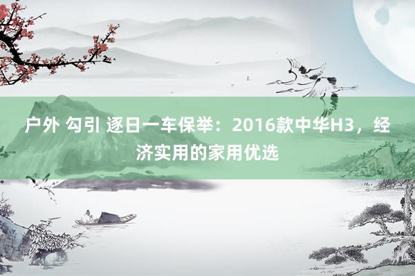 户外 勾引 逐日一车保举：2016款中华H3，经济实用的家用优选