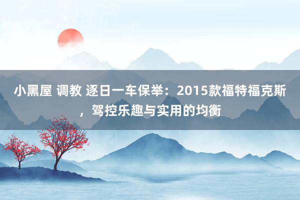小黑屋 调教 逐日一车保举：2015款福特福克斯，驾控乐趣与