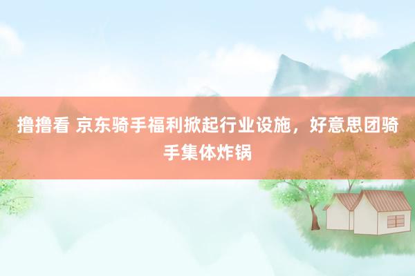 撸撸看 京东骑手福利掀起行业设施，好意思团骑手集体炸锅