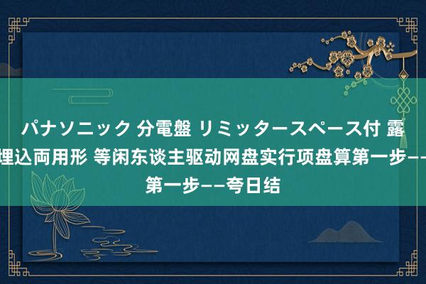 パナソニック 分電盤 リミッタースペース付 露出・半埋込両用