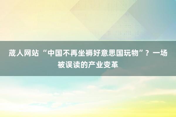 荿人网站 “中国不再坐褥好意思国玩物”？一场被误读的产业变革