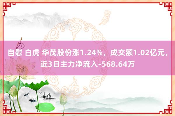 自慰 白虎 华茂股份涨1.24%，成交额1.02亿元，近3日