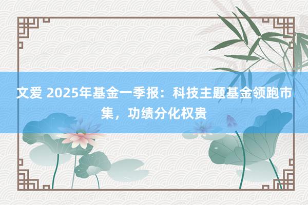 文爱 2025年基金一季报：科技主题基金领跑市集，功绩分化权