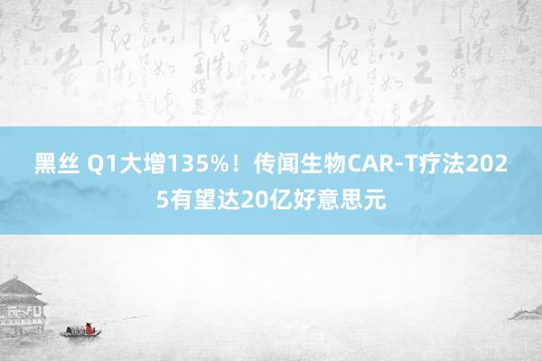 黑丝 Q1大增135%！传闻生物CAR-T疗法2025有望达20亿好意思元