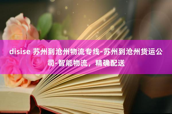 disise 苏州到沧州物流专线-苏州到沧州货运公司-智能物