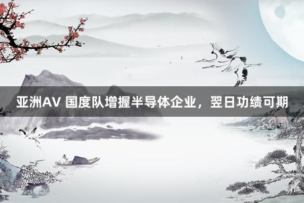 亚洲AV 国度队增握半导体企业，翌日功绩可期