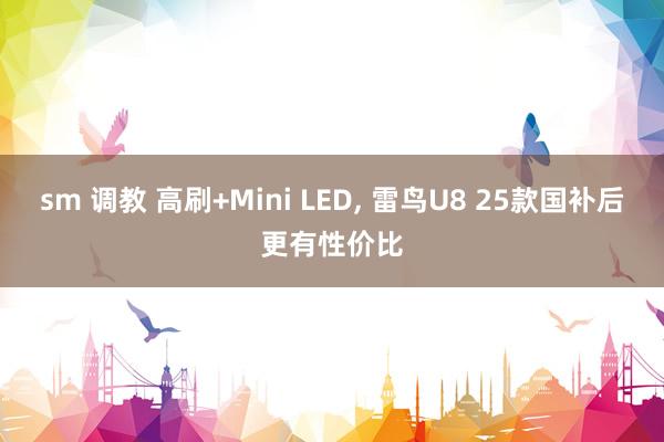 sm 调教 高刷+Mini LED, 雷鸟U8 25款国补后更有性价比
