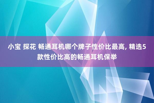 小宝 探花 畅通耳机哪个牌子性价比最高, 精选5款性价比高的