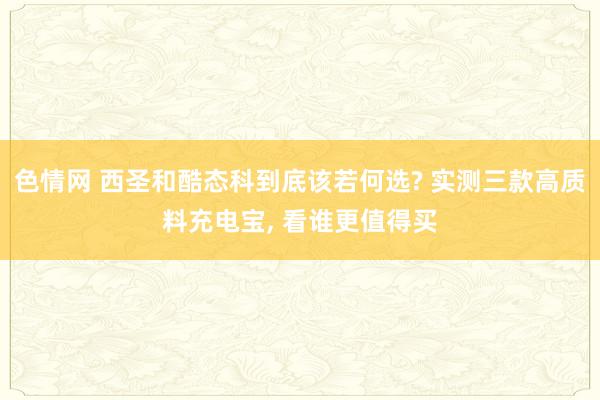 色情网 西圣和酷态科到底该若何选? 实测三款高质料充电宝, 看谁更值得买