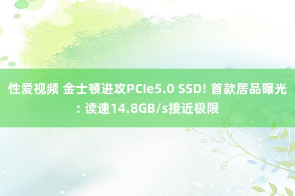 性爱视频 金士顿进攻PCIe5.0 SSD! 首款居品曝光: