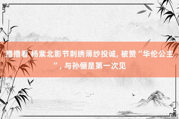 撸撸看 杨紫北影节刺绣薄纱投诚, 被赞“华伦公主”, 与孙俪