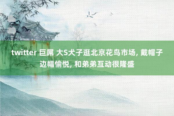 twitter 巨屌 大S犬子逛北京花鸟市场, 戴帽子边幅愉悦, 和弟弟互动很隆盛