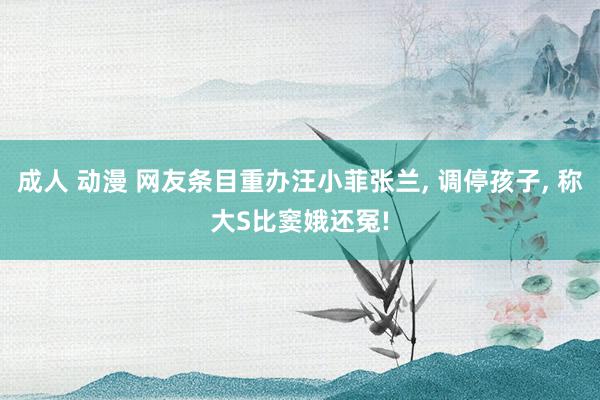 成人 动漫 网友条目重办汪小菲张兰, 调停孩子, 称大S比窦娥还冤!