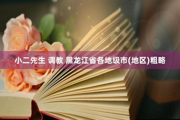 小二先生 调教 黑龙江省各地级市(地区)粗略