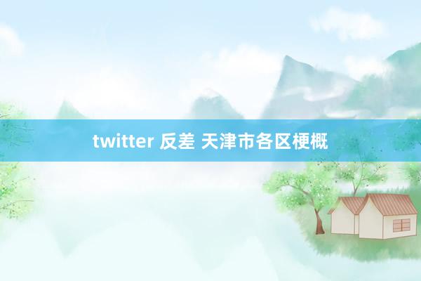 twitter 反差 天津市各区梗概
