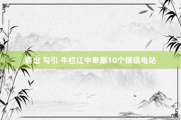 露出 勾引 牛栏江中卑鄙10个梯级电站