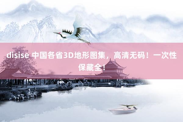 disise 中国各省3D地形图集，高清无码！一次性保藏全！