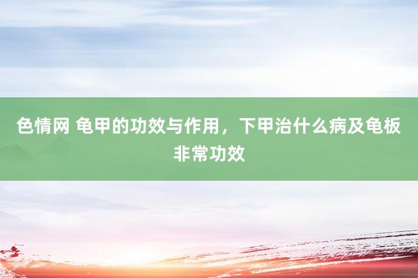 色情网 龟甲的功效与作用，下甲治什么病及龟板非常功效