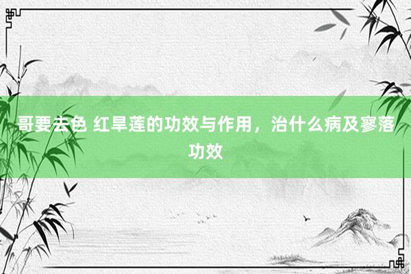 哥要去色 红旱莲的功效与作用，治什么病及寥落功效